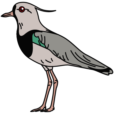 mfiltaron-logo